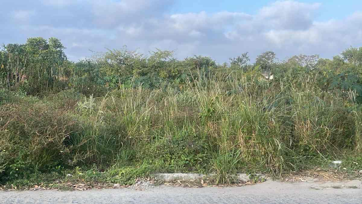 Rua Dr. Vicente Reis, bairro Conceição – Foto: Enviada pelo Whatsapp
