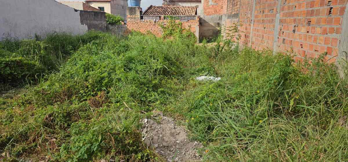 terreno baldio na Rua Nova
