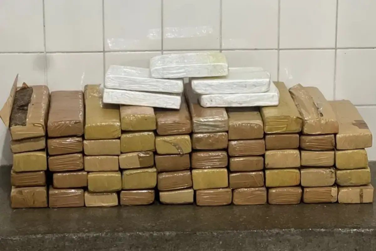 PRE apreende 100 kg de drogas em ônibus na BA-026, no sudoeste da Bahia