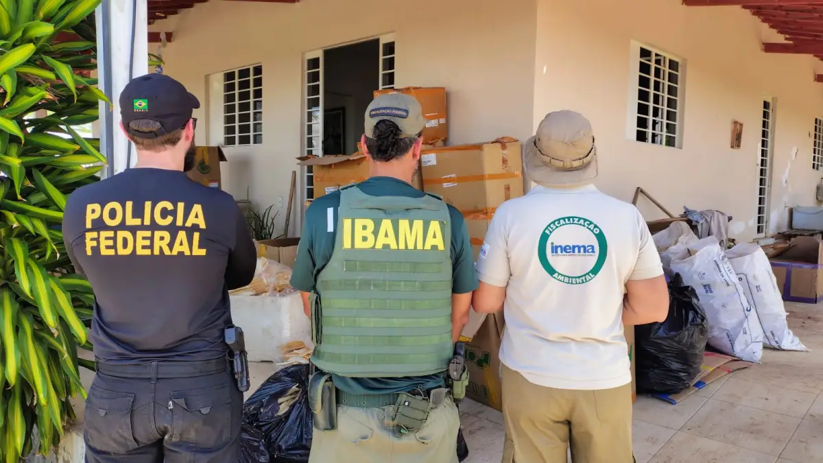 PF, Inema e Ibama desarticulam ponto de beneficiamento ilegal de barbatanas de tubarão na Bahia