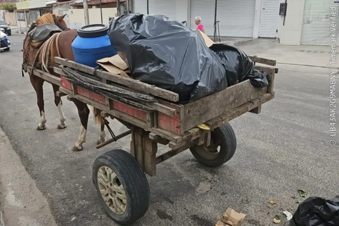 Sesp multa empresa por descarte irregular em Feira de Santana