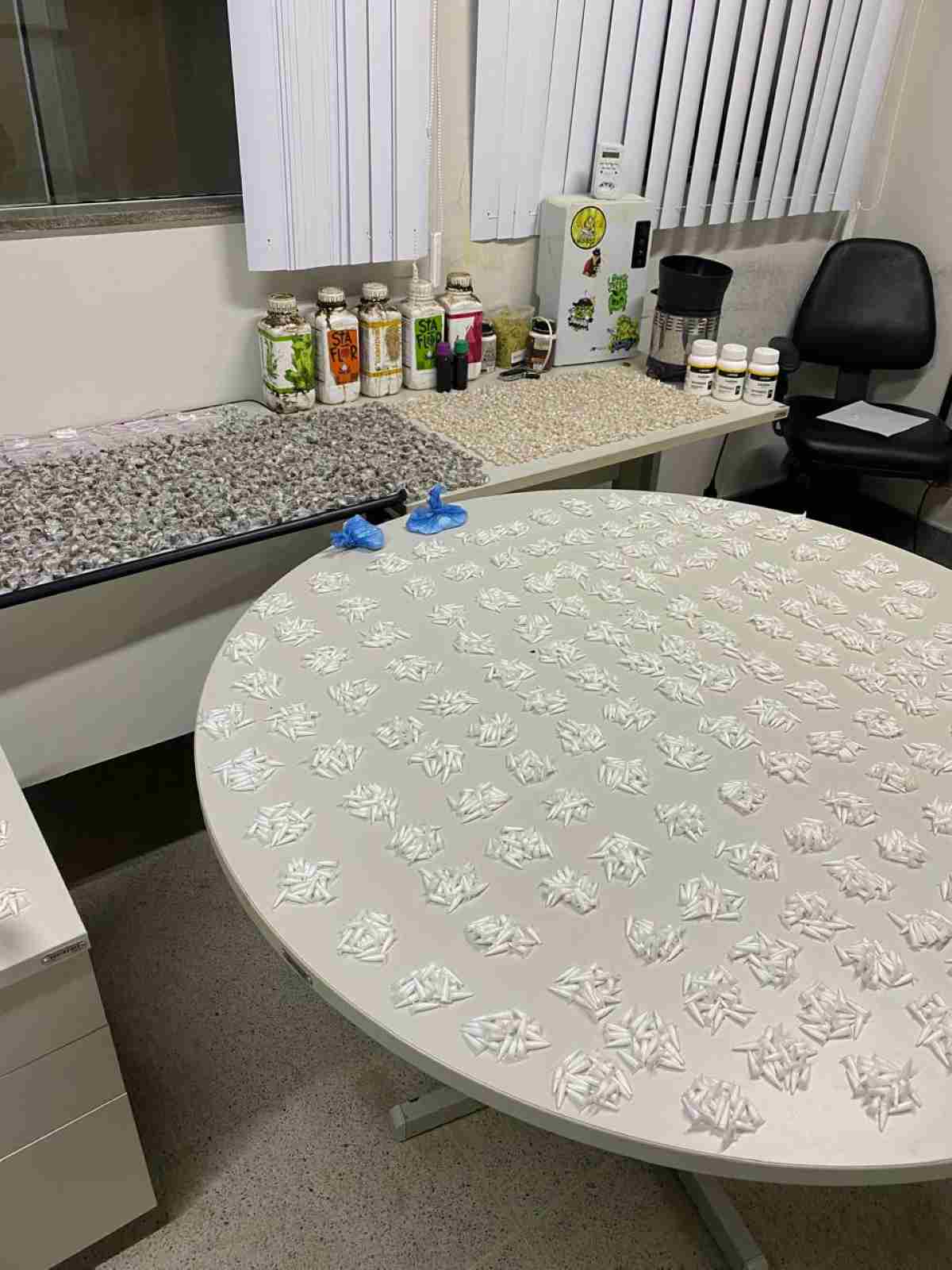 Operação Conexão desarticula laboratório e centro de distribuição de drogas em Porto Seguro Operação Conexão desarticula laboratório e centro de distribuição de drogas em Porto Seguro