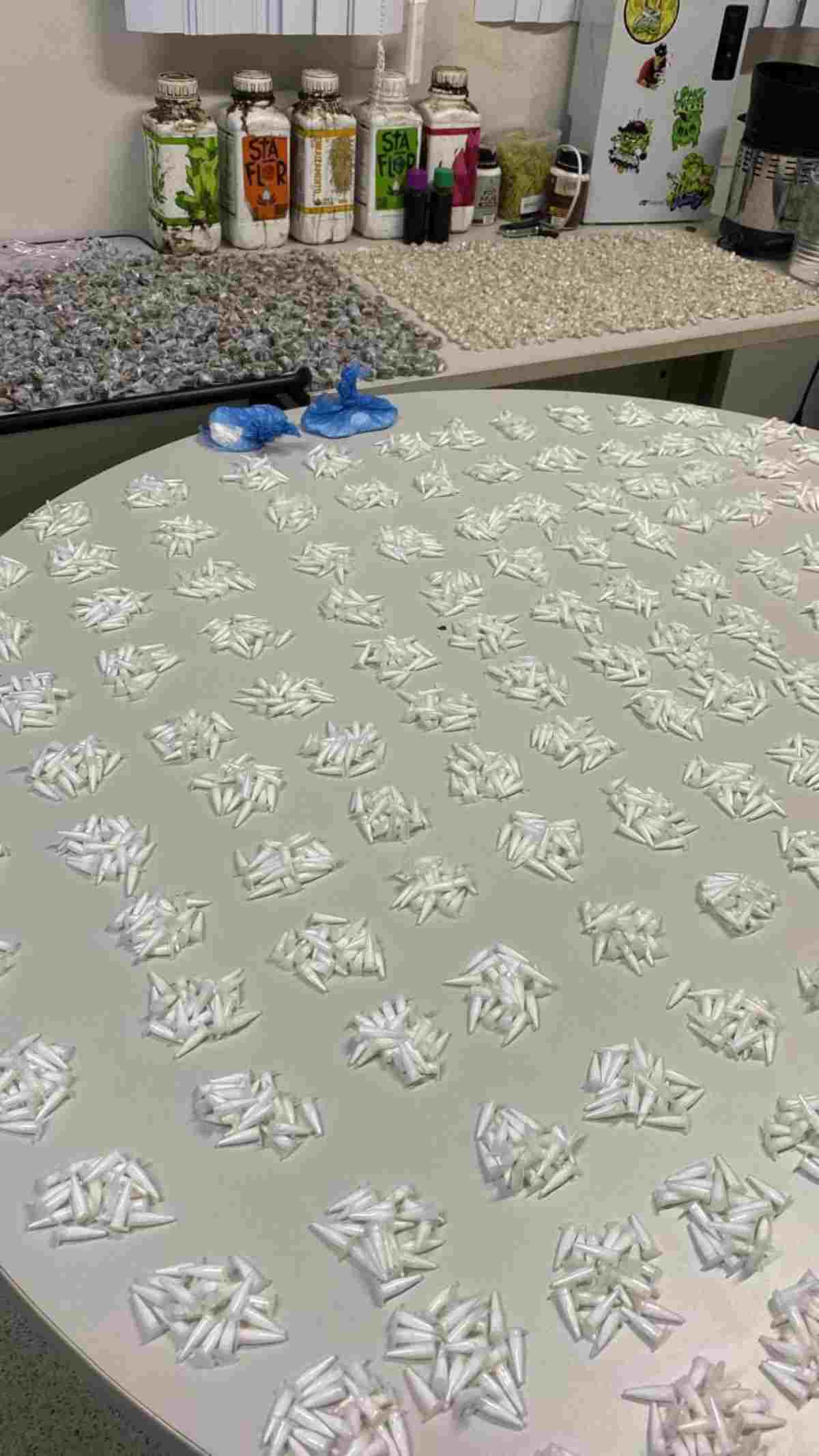 Operação Conexão desarticula laboratório e centro de distribuição de drogas em Porto Seguro Operação Conexão desarticula laboratório e centro de distribuição de drogas em Porto Seguro