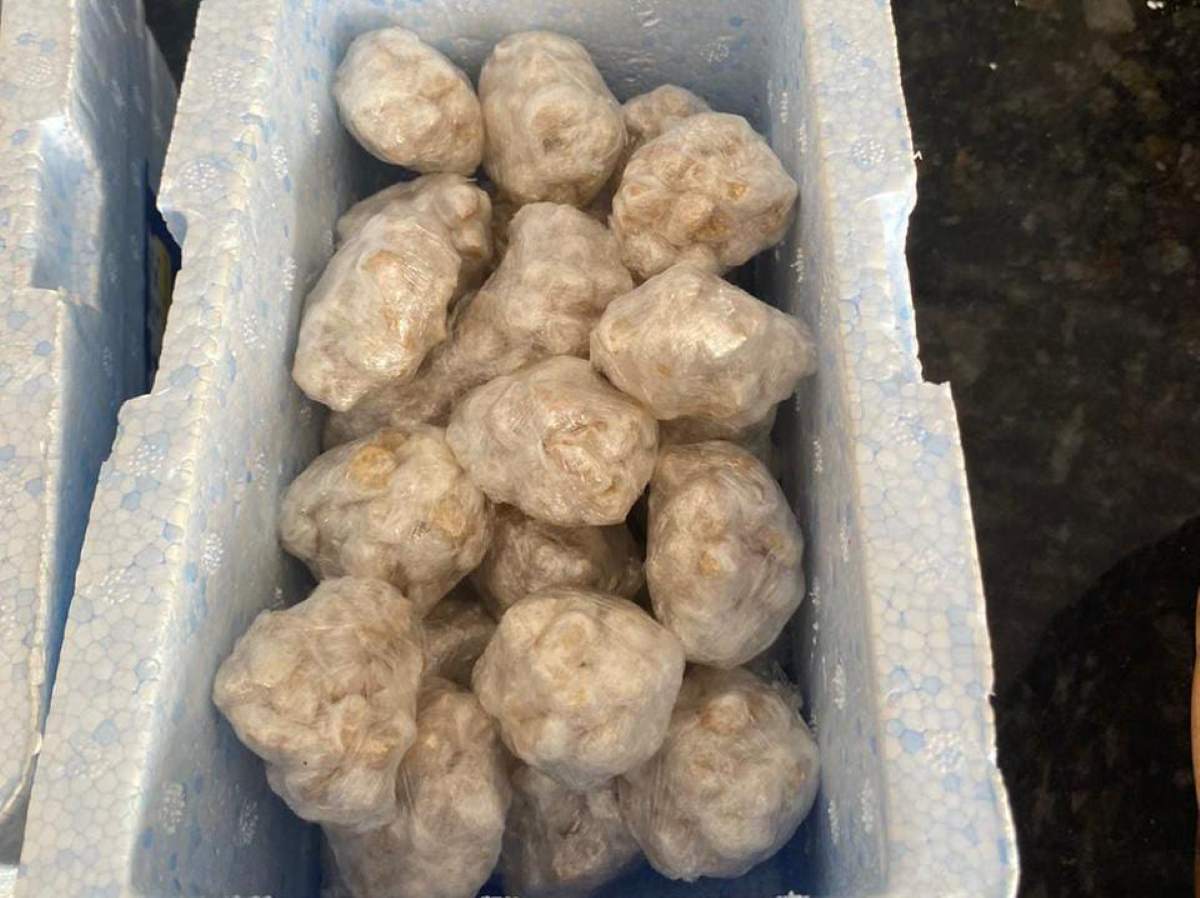 Operação Conexão desarticula laboratório e centro de distribuição de drogas em Porto Seguro Operação Conexão desarticula laboratório e centro de distribuição de drogas em Porto Seguro