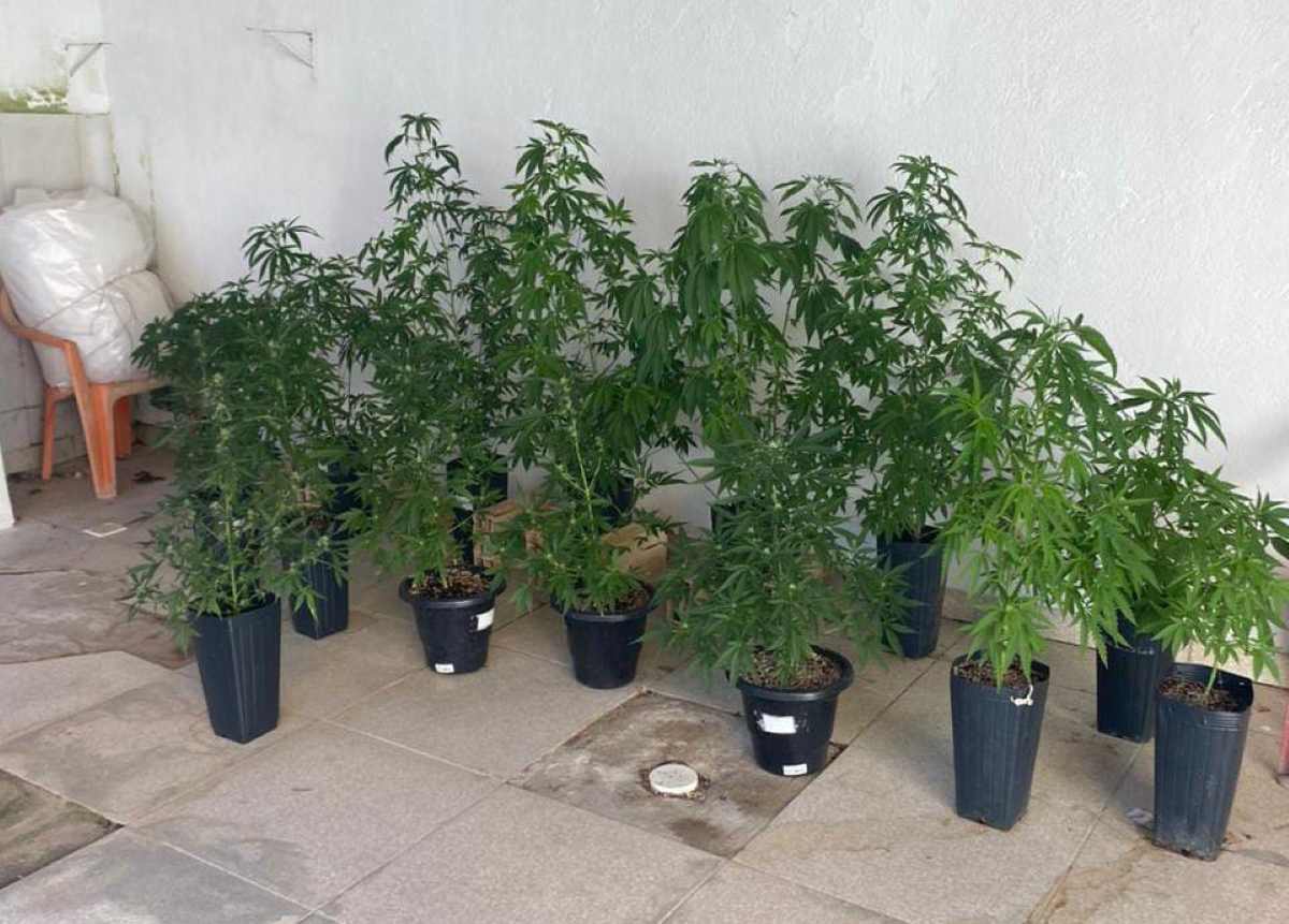 Operação Conexão desarticula laboratório e centro de distribuição de drogas em Porto Seguro Operação Conexão desarticula laboratório e centro de distribuição de drogas em Porto Seguro