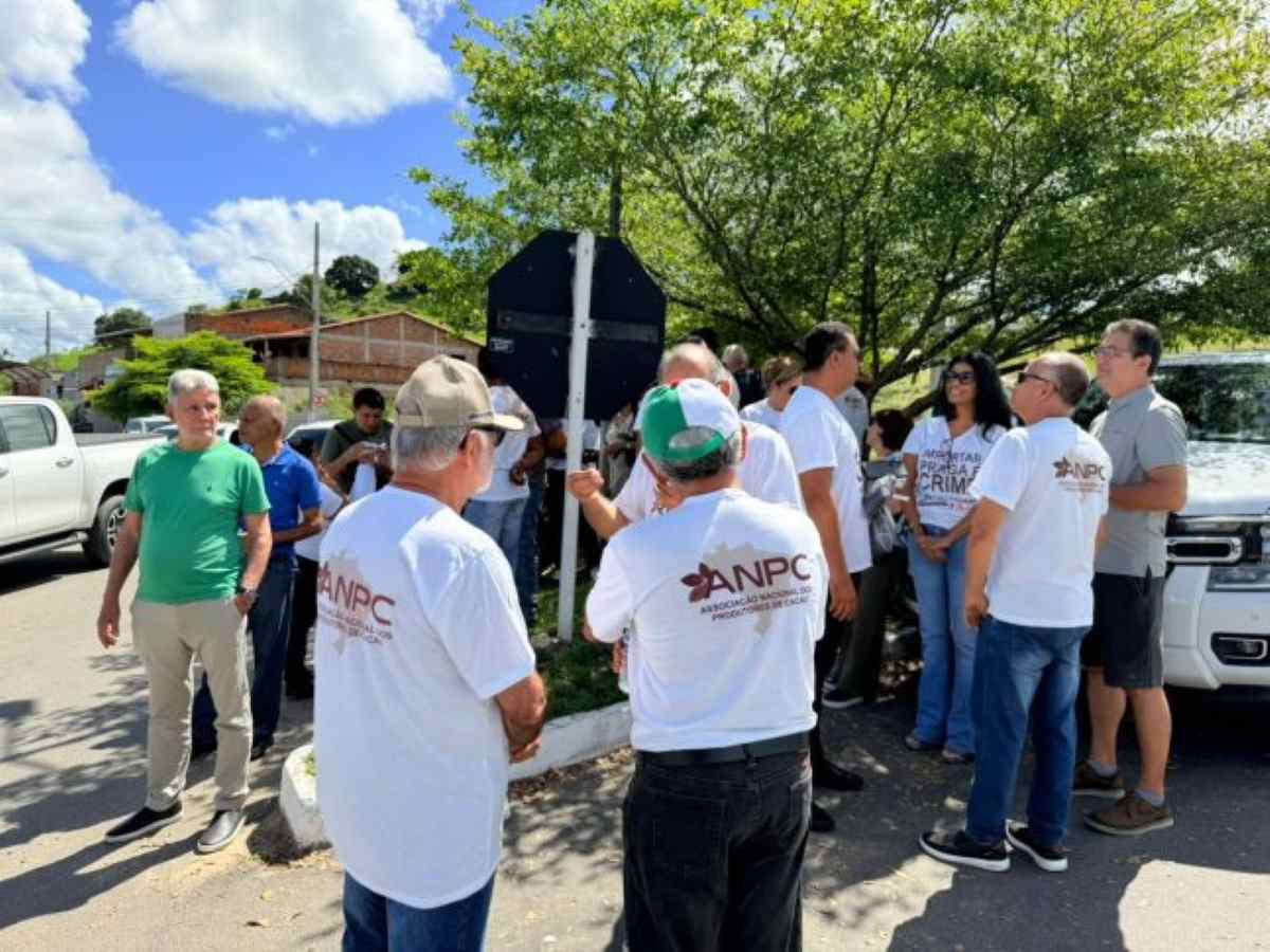 Produtores de cacau do sul da Bahia protestam contra desvalorização do produto