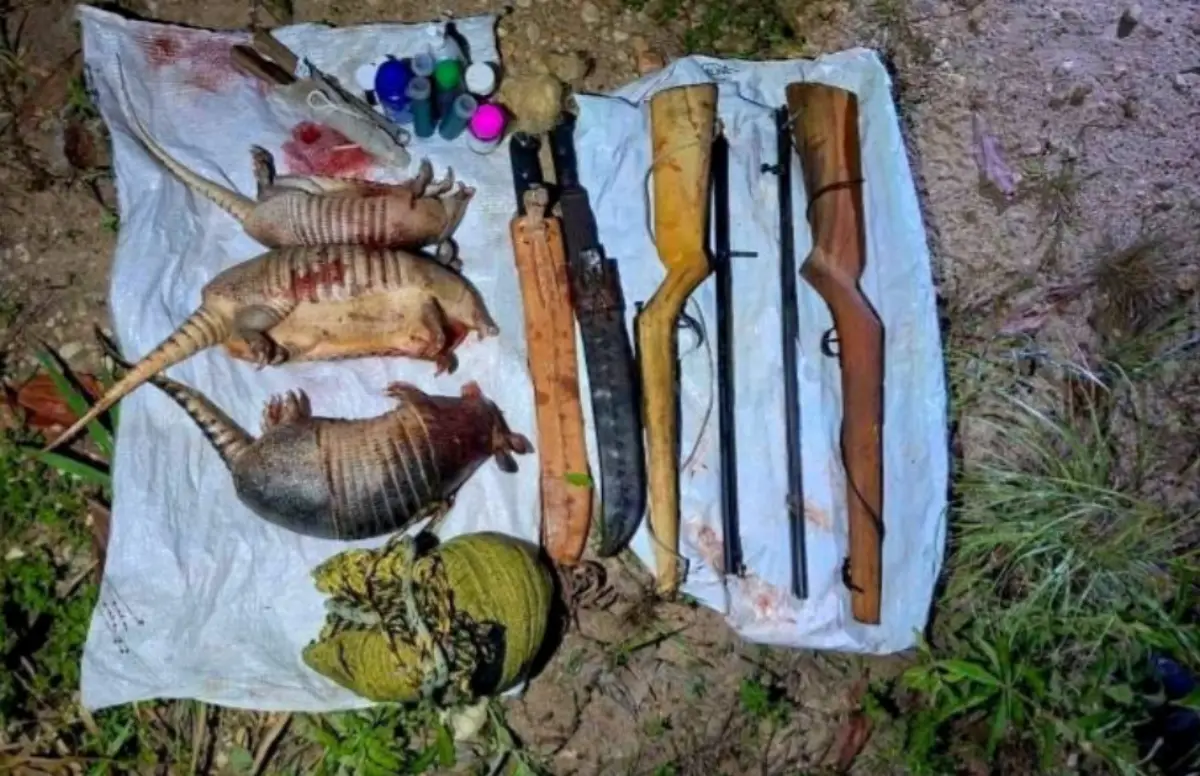 Dupla é presa com armas e três tatus abatidos na BA-687, em Itagimirim