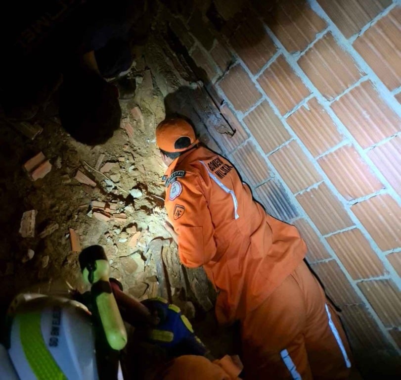 Bombeiros resgatam filhotes de cachorro presos entre paredes em Senhor do Bonfim