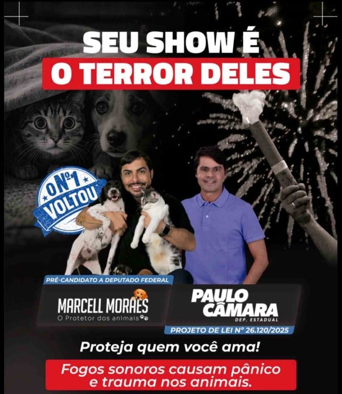 Deputado e protetor da causa animal querem acabar com fogos de artifício sonoros na Bahia