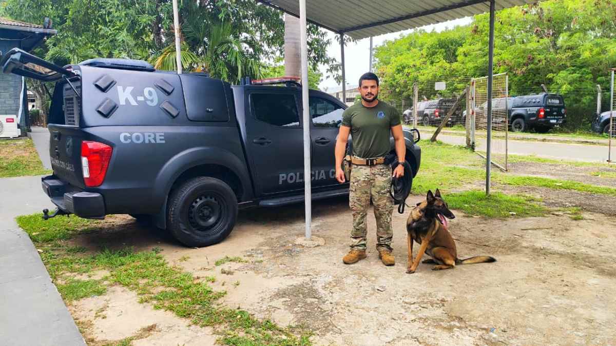 policial civil no workshop