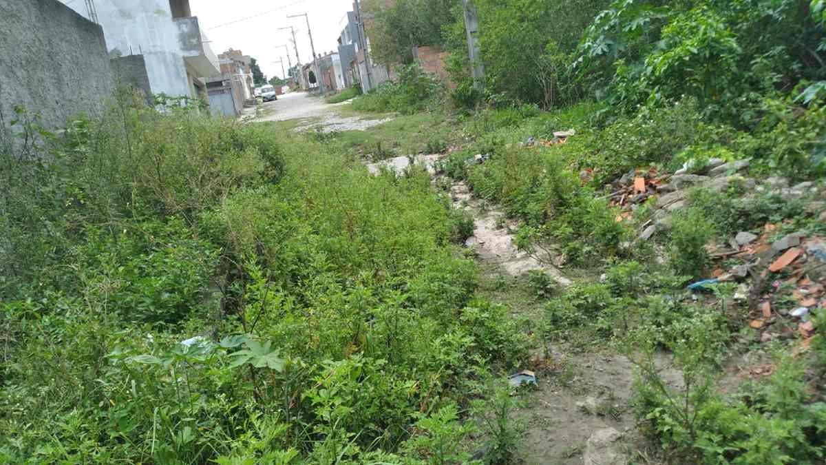 Rua Alécio Pereira, bairro Tomba- lixo