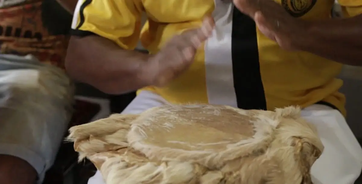 XXI Panorama Internacional Coisa de Cinema acontece de 25 a 29 de março em Cachoeira