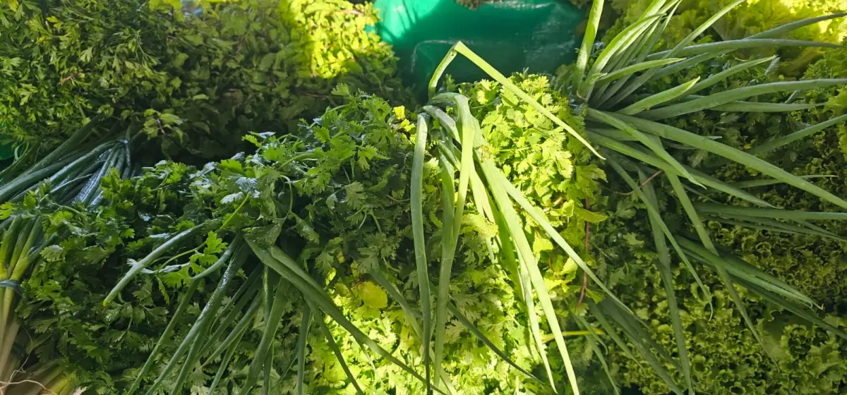 preço das verduras e hortaliças registra alta na Feirinha da Estação