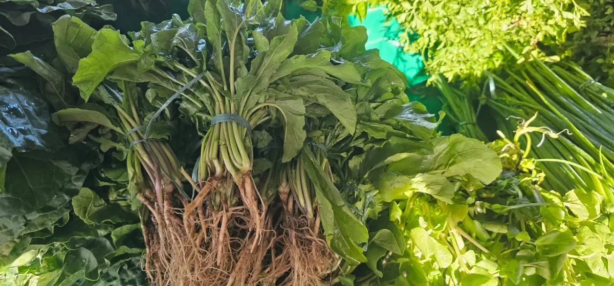 preço das verduras e hortaliças registra alta na Feirinha da Estação