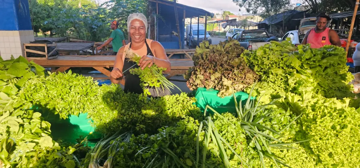 preço das verduras e hortaliças registra alta na Feirinha da Estação