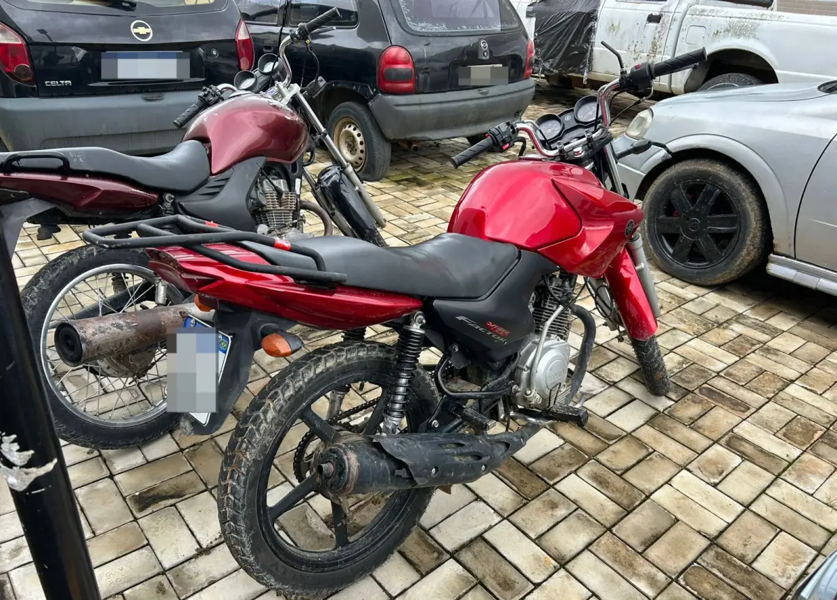 Polícia recupera R$ 237 mil em cargas desviadas de e-commerce, confirma delegado