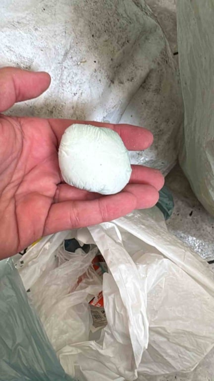 Operação Novo Oeste