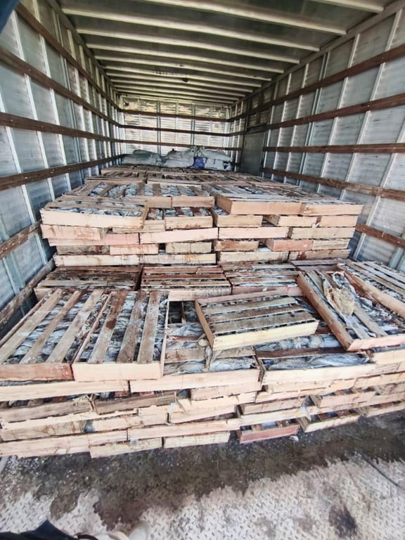 PRF apreende 9 toneladas de peixe transportado irregularmente na BR-116, em Milagres