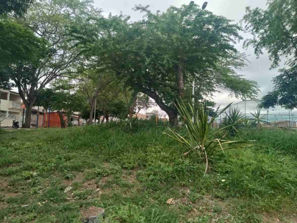 Praça do conjunto Feira IV