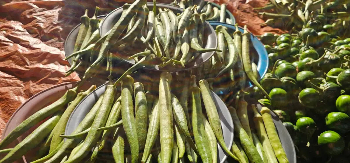 preço das verduras e hortaliças registra alta na Feirinha da Estação