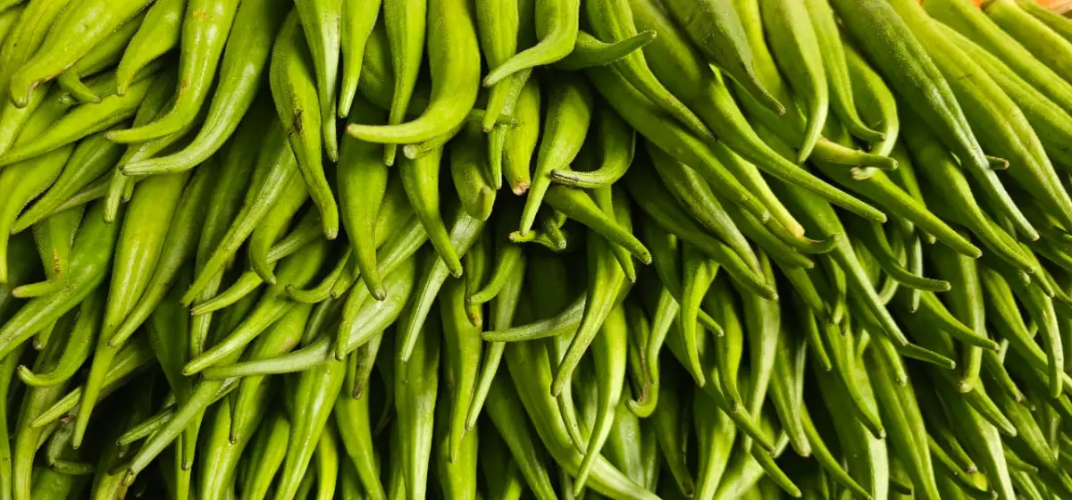 Preço do quiabo “pipoca”, mas devoção pela tradição do Caruru de São Cosme e Damião garante vendas