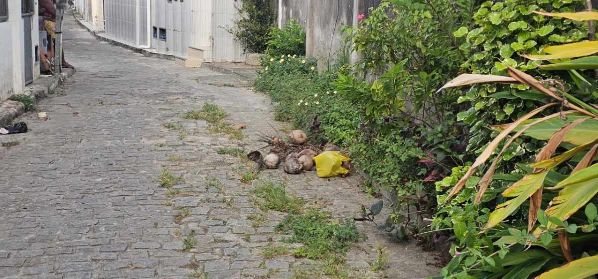 Rua Vazante, no bairro Sobradinho cocos e iluminação