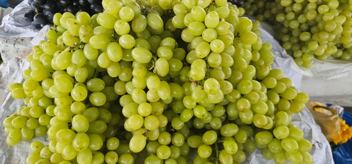 Combustível subiu, mas frutas da Feirinha da Estação ainda não sofreram reajuste nas bancas