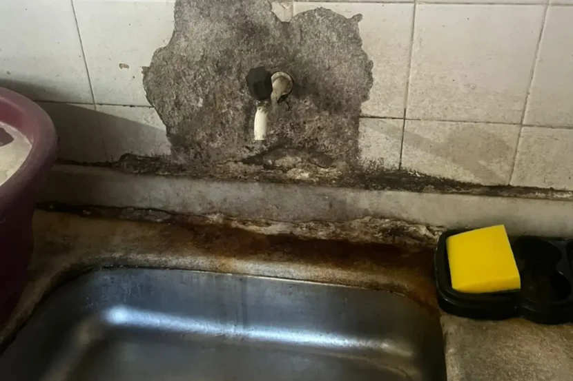 Vigilância Sanitária interdita lanchonete