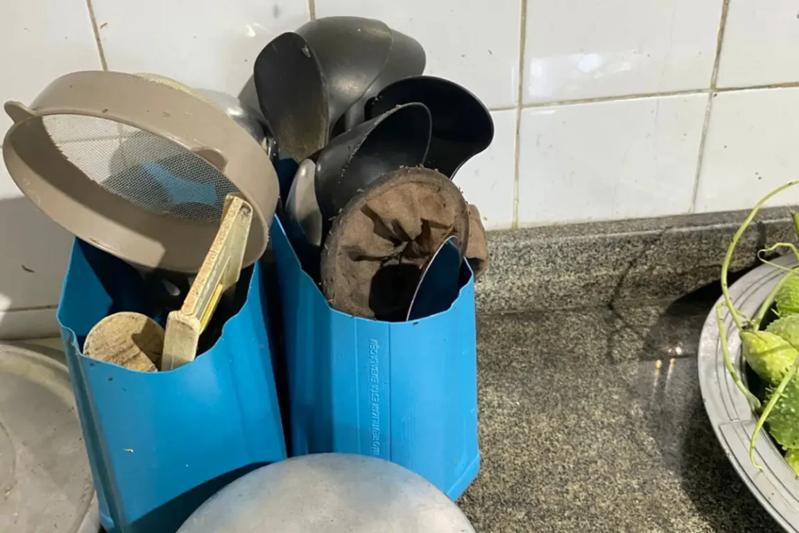 Vigilância Sanitária interdita lanchonete