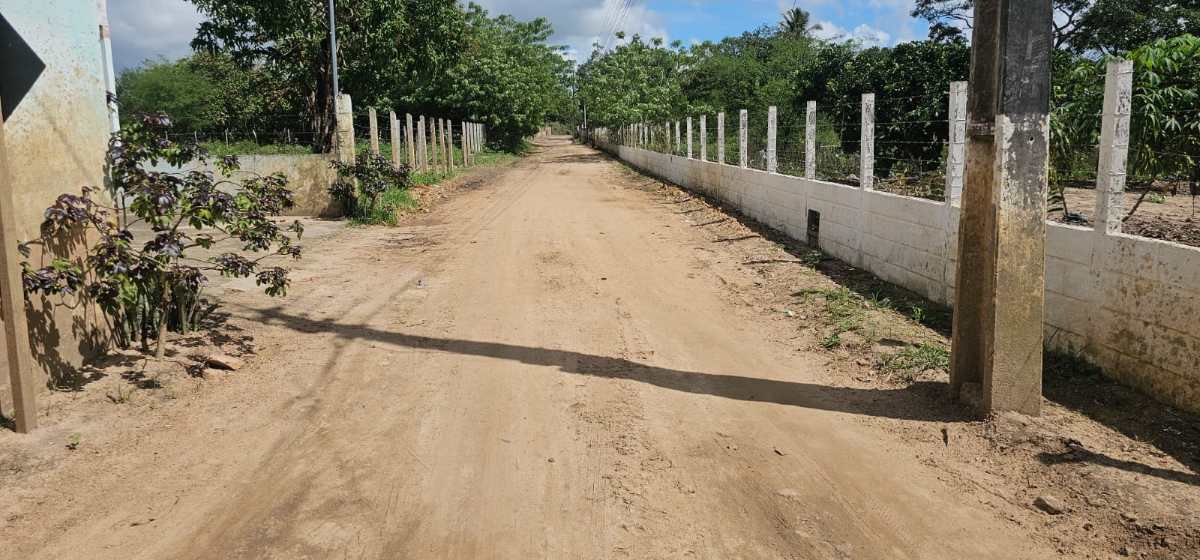 estrada na Tapera II