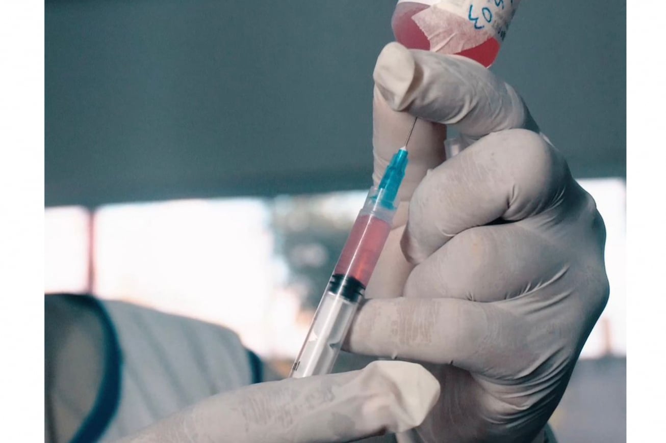 Vacina antirrábica segue disponível durante todo o ano na Unidade de Zoonoses em Feira de Santana