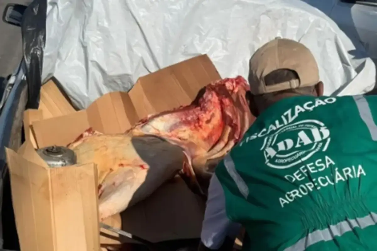 Adab apreende mais de uma tonelada de carne irregular no sudoeste da Bahia