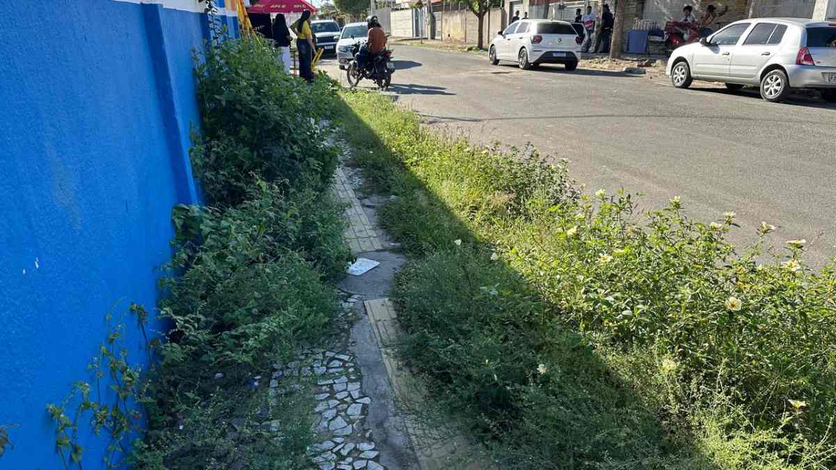 mato no passeio da Escola Municipal Maria Antônia da Costa