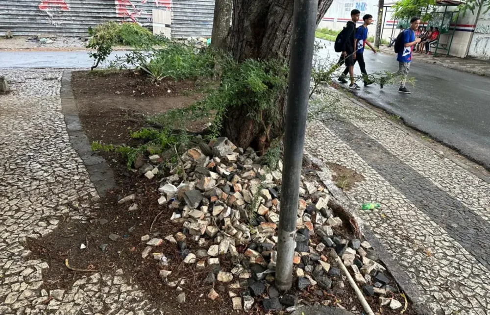 Morador denuncia descaso nas praças e aparelhos de ginástica do bairro Sobradinho
