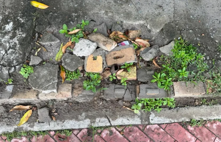 Morador denuncia descaso nas praças e aparelhos de ginástica do bairro Sobradinho