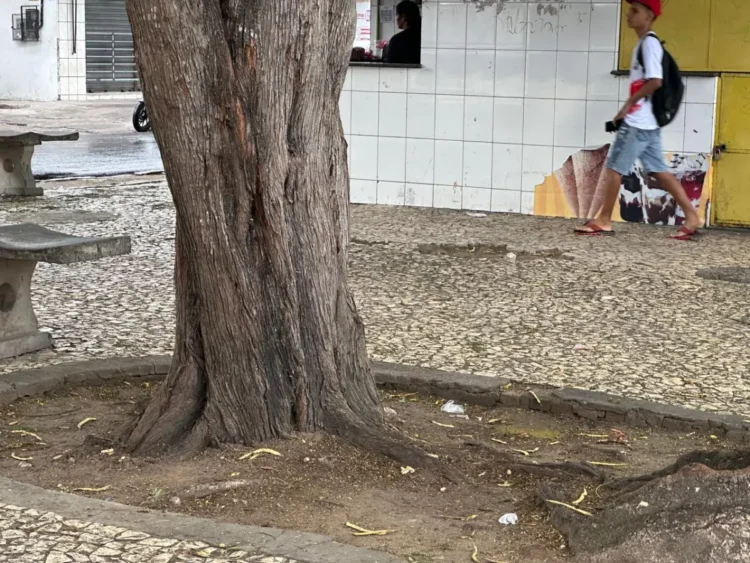 Morador denuncia descaso nas praças e aparelhos de ginástica do bairro Sobradinho