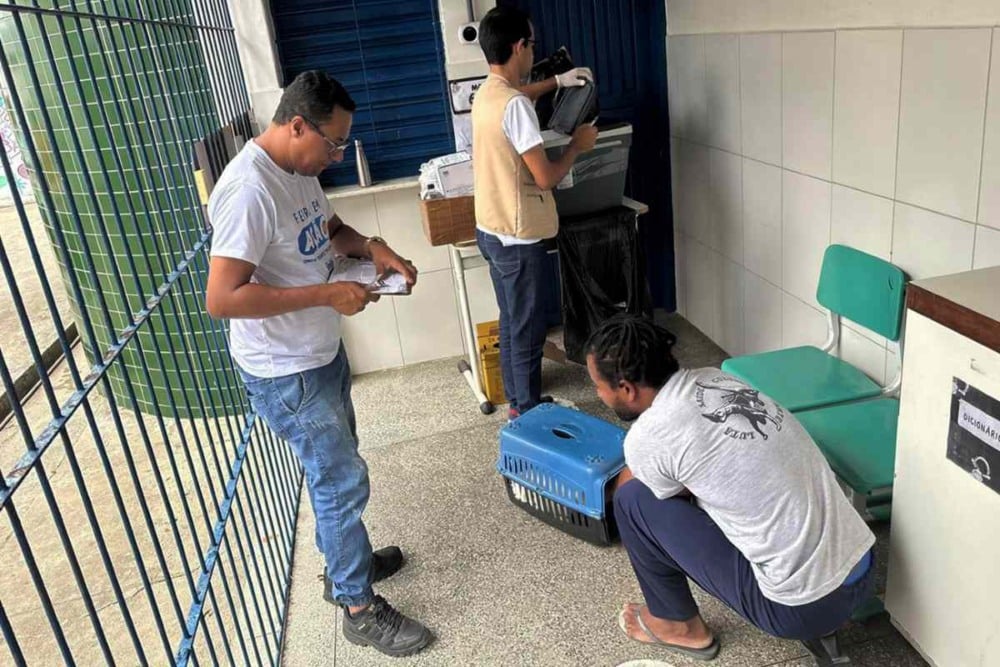 Feira em Ação chega em Jaíba dia 25 de Abril