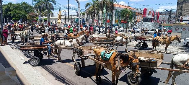 Manifestação carroceiros