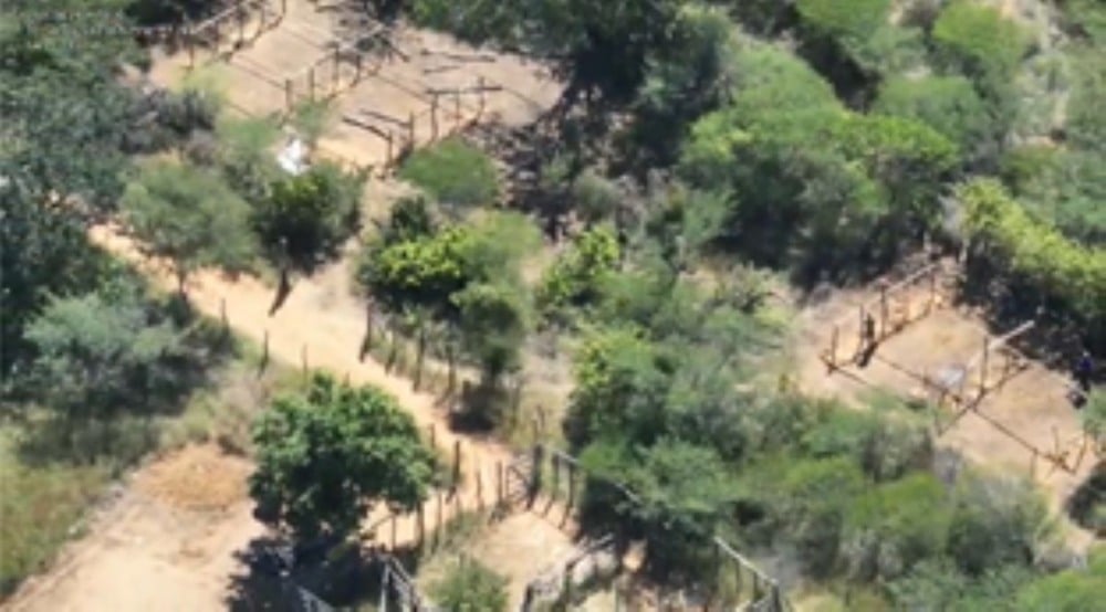 Operação Raízes Ocultas: 300 mil pés de maconha são erradicados em Ibitiara