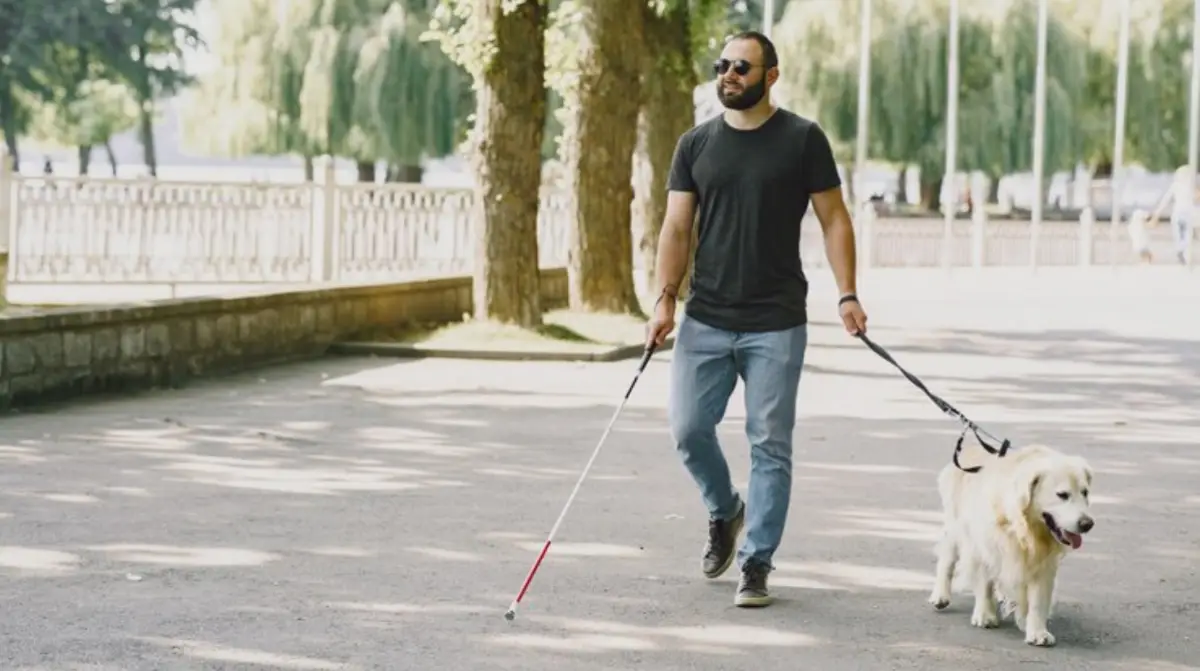 cego - visão - cegueira