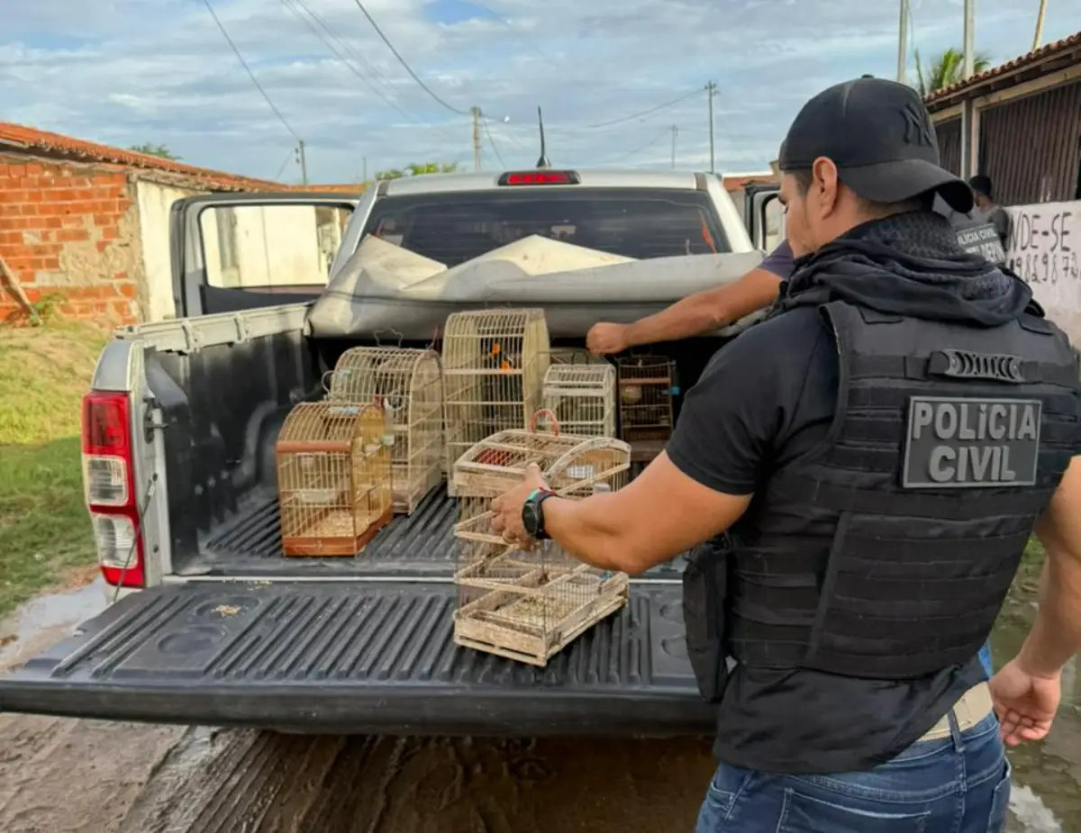 Aves são resgatadas de cativeiro em Santa Bárbara durante ação da Polícia Civil