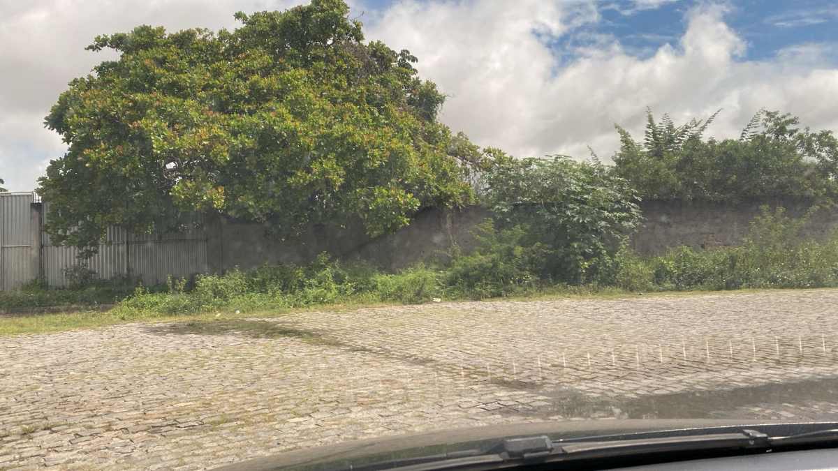 Escorpiões, risco de choque e casas alagadas: moradores denunciam abandono em bairros de Feira de Santana