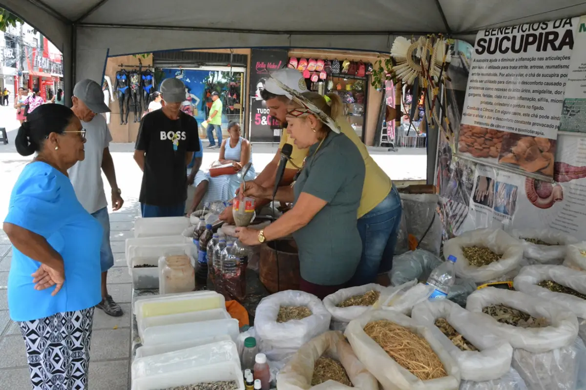 Medicina popular resiste ao tempo e segue presente em Feira de Santana com raizeiros e curandeiros