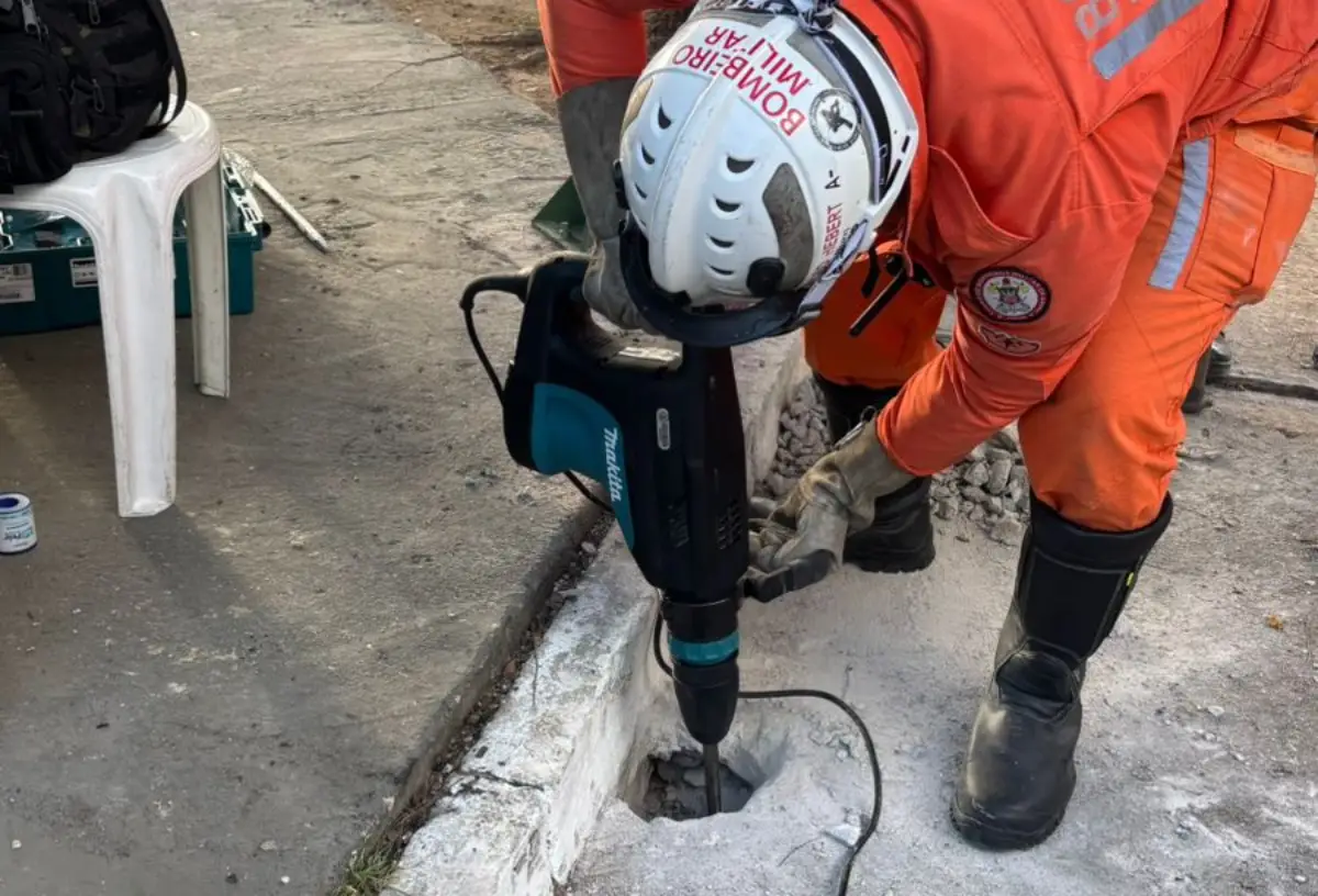 filhotes são resgatados