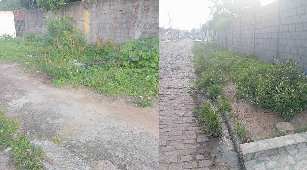 Escorpiões, risco de choque e casas alagadas: moradores denunciam abandono em bairros de Feira de Santana