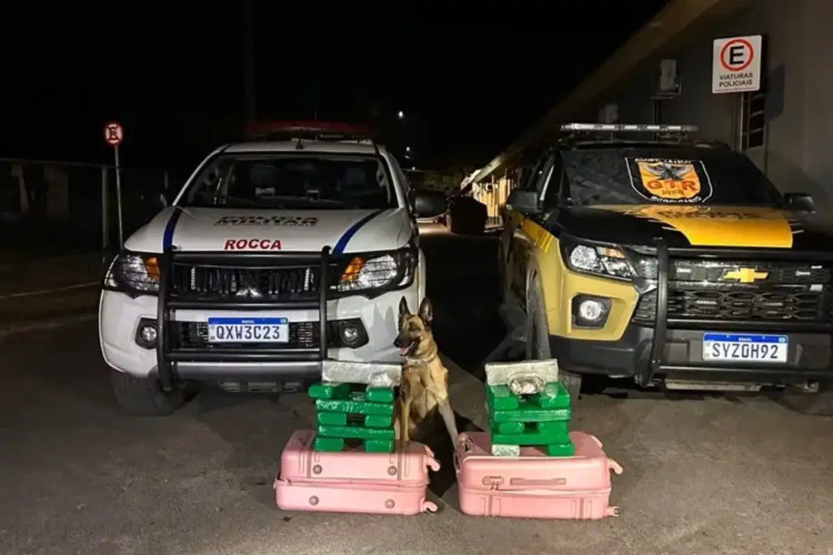 Cão farejador descobre 22 barras de maconha em ônibus que ia para Guanambi