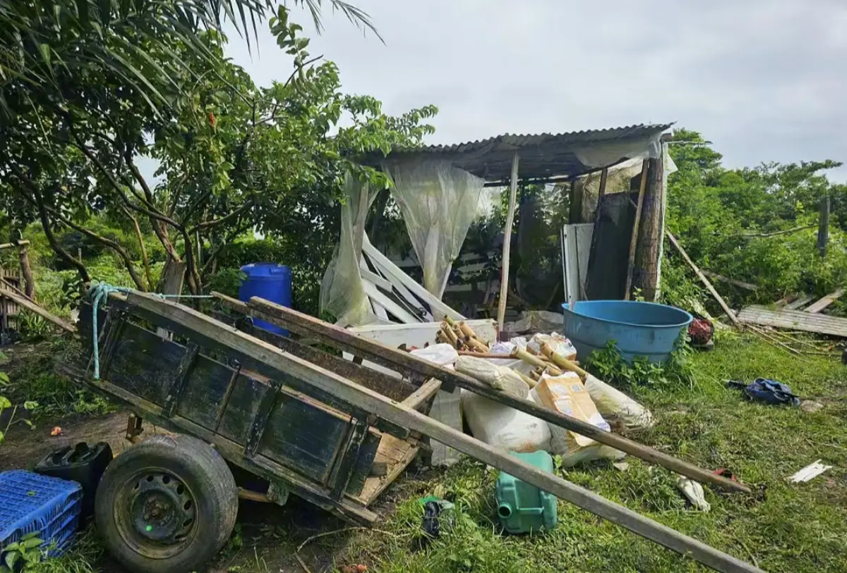 Fábrica clandestina de espadas é descoberta em área de mata no interior da Bahia