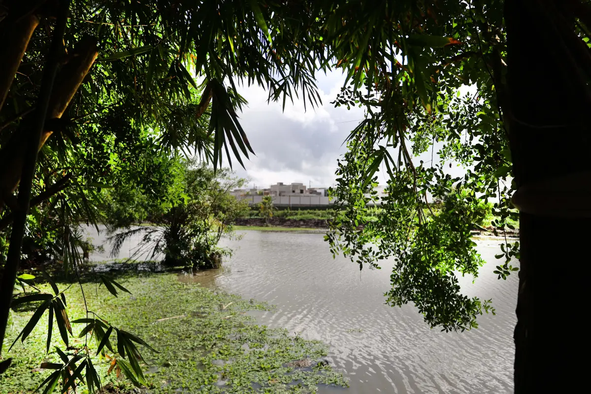 Lagoa do Alto do Papagaio