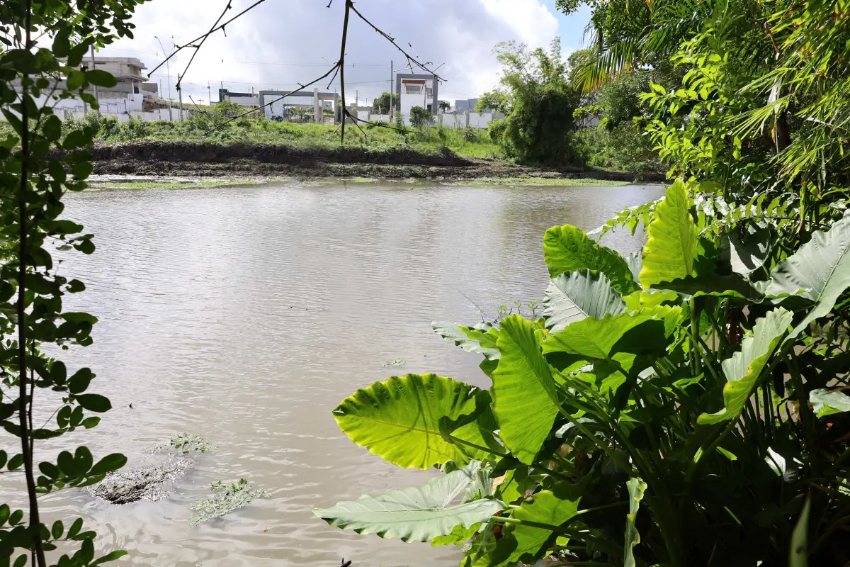 Lagoa do Alto do Papagaio