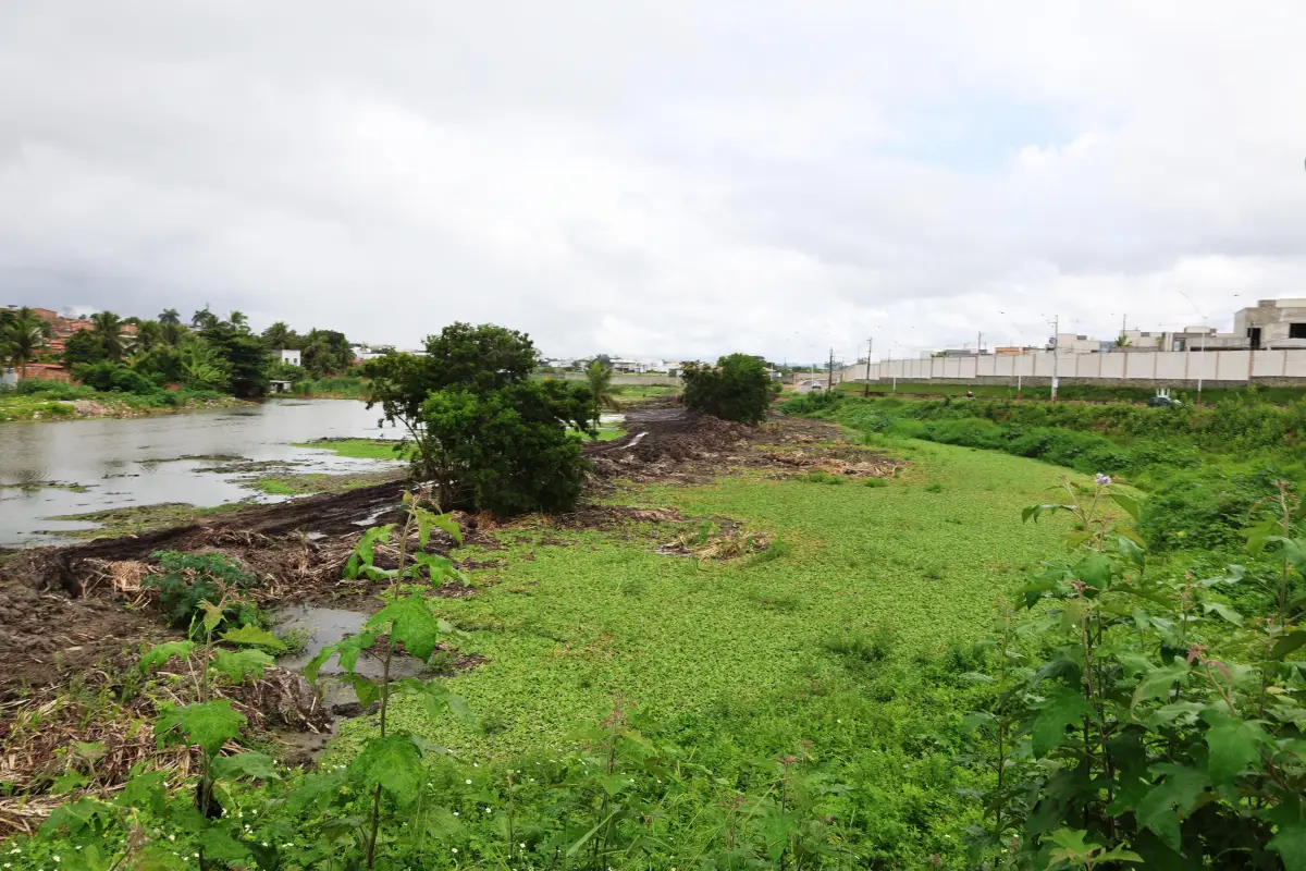Lagoa do Alto do Papagaio